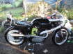 Enlarge Photo - BSA 650 Road Racer